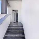 Modern With Shared Pool Apartment Cepljani
