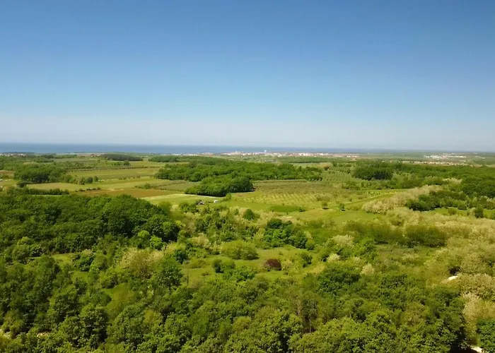 Modern With Shared Pool *